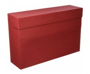 CAJA PRENSADA1